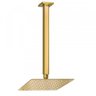 Chuveiro Ducha Slim Quadrado de Teto 20x20cm Dourado Belcca - Cdt01-dr - 1