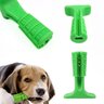 Brinquedo Mordedor Escova de Dente para Cachorro G Dog - 7