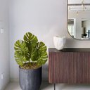 Ver imagem 7 de 2 Plantas Artificiais Realistas Costela de Adão Verde para Decoração de Interiores e Arranjo Moderno