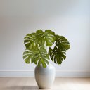 Ver imagem 1 de 2 Plantas Artificiais Realistas Costela de Adão Verde para Decoração de Interiores e Arranjo Moderno