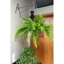 Ver imagem 7 de 2 Suporte a Pendurar Planta Parede Duplo 40cm Forte C/gancho