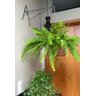 2 Suporte a Pendurar Planta Parede Duplo 40cm Forte C/gancho - 7