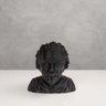 Albert Einstein Busto - Preto - 2