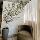 Ver imagem 2 de Bambu Mosso G com Vaso de Polietileno Preto| Formosinha