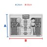 Brinquedo Pedagógico de Anatomia Nosso Corpo Humano 12 Peças - 6