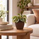 Ver imagem 5 de Vaso Pequeno de Plantas Suculentas 15,5cm Tramontina Asteca