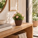 Ver imagem 4 de Vaso Pequeno de Plantas Suculentas 15,5cm Tramontina Asteca
