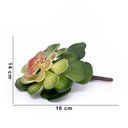 Ver imagem 4 de Suculenta Planta Artificial Verde e Vermelho 14x16 - D'Rossi