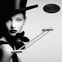 Ver imagem 2 de Toalheiro Duplo para Banheiro Alto Brilho Orion Grego Metal 30cm