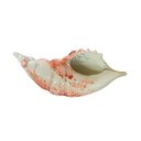 Ver imagem 3 de Objeto Decorativo Concha em Murano Ideal para Aparador Hall de Entrada 12x25x10cm