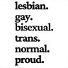Adesivo de Parede 60x36cm - Lesbian Gay Bisexual Trans Norma - 1
