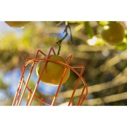 Colhedor de Fruta Apanhador 15cm Metálico Tramontina S/ Cabo - 3