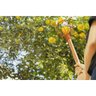 Colhedor de Fruta Apanhador 15cm Metálico Tramontina S/ Cabo - 4