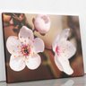 Quadro Cerejeira Okinawa Flores Fotografia Canvas 100x70cm - 2