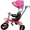 Triciclo Infantil de Ferro Com Capota Solar 2 Anos Até 25 Kg Barra Guia Sininho Brinqway - Rosa - 4
