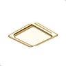 Plafon Moderno Led Gold Multicolor com Controle Dimmer 72w - 2