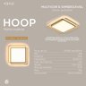 Plafon Moderno Led Gold Multicolor com Controle Dimmer 72w - 3