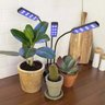 Lampada de Cultivo Planta Luminaria Led Luz Uv Ultravioleta Temporizador Plantaçao Horta Terrario Cr - 2