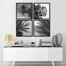 Kit Quadros Decorativos Folhagem Preto e Branco Palmeiras - 2