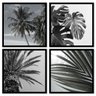 Kit Quadros Decorativos Folhagem Preto e Branco Palmeiras - 4