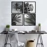 Kit Quadros Decorativos Folhagem Preto e Branco Palmeiras - 1
