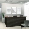 Conjunto Quadros Decorativos Dentista em Tecido Canvas - 3