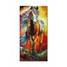 Quadro Decorativo Cavalo Índio Colorido - 4