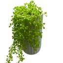Ver imagem 2 de Vaso alto design moderno branco com planta artificial caída