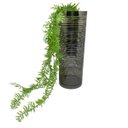 Ver imagem 2 de Vaso alto listrado fumê com planta caída