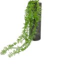 Ver imagem 1 de Vaso alto listrado fumê com planta caída