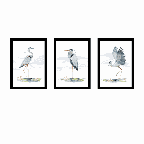 Tríptico - Quadros Decorativos Garça Aquarela Grande:Preto