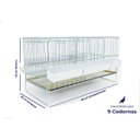 Ver imagem 4 de Gaiola para Codorna Poedeira Contrera Pequena Zincada Prata