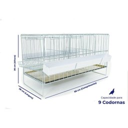 Gaiola para Codorna Poedeira Contrera Pequena Zincada Prata - 4