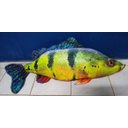 Ver imagem 1 de Almofada Peixe Tucunaré