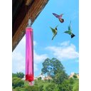 Ver imagem 2 de 01 Bebedouro Fino Liso de Vidro para Beija Flor