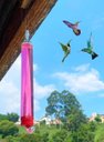 Ver imagem 2 de 01 Bebedouro Fino Liso de Vidro para Beija Flor