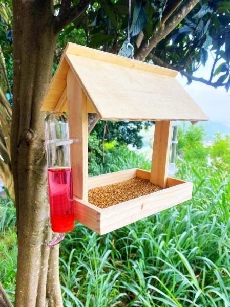 Casa Comedouro Pássaros e Bebedouros de Vidro Beija Flor