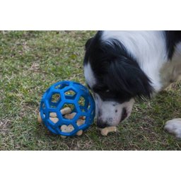 Bola Jw Holee Roller Médio Azul para Cães - 4