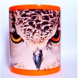 CANECA DE CERAMICA NEON COM FAIXA BRANCA (CORUJA) - 2
