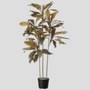 Ver imagem 1 de Árvore Artificial Cordyline X118 170 | Linha Permanente Formosinha