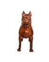 Ver imagem 2 de CACHORRO PITBULL 01UN FERRO FUNDIDO DECORAÇÃO PRONTO ARTES
