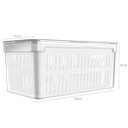 Ver imagem 6 de Kit 4 Organizadores de Geladeira Porta Frutas Legumes Ovos Clear Fresh OU