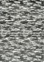 Ver imagem 1 de Tapete Legacy Des. 36-E 2,00x3,00M-Vs Tapetes
