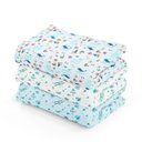 Ver imagem 1 de Cueiro Flanelado Papi Estampado 1,0M X 80CM Masculino 03 Un