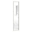 Ver imagem 1 de Porta Para Closet Com Espelho Individual 50cm Inox Espelho