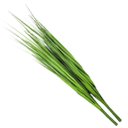 Ver imagem 1 de Kit 4 Folhagens Capim Verde Artificial 78cm