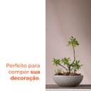 Ver imagem 4 de Vaso Bacia Sicilia Pedra 12 Terrano