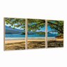 Quadros Decorativos Praia Paisagem Arvore Balanço Moldura - 1