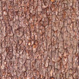 Papel de Parede Adesivo Tronco de Madeira Rústica 2 18m - 1