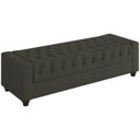 Ver imagem 1 de Recamier Calçadeira Bau 160 cm Pes MDF Parri Linho SL 74 Peer
